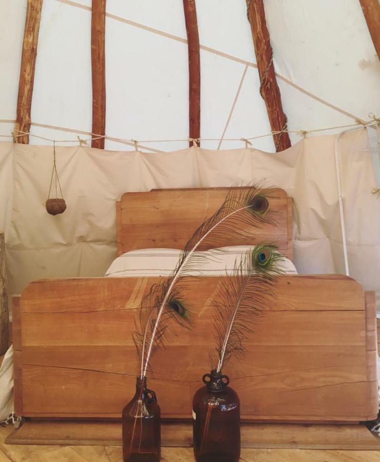 Tipi Lodge Dans La Foret Mimizan-Plage Kültér fotó