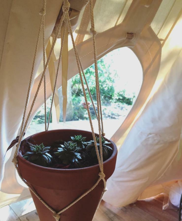Tipi Lodge Dans La Foret Mimizan-Plage Kültér fotó