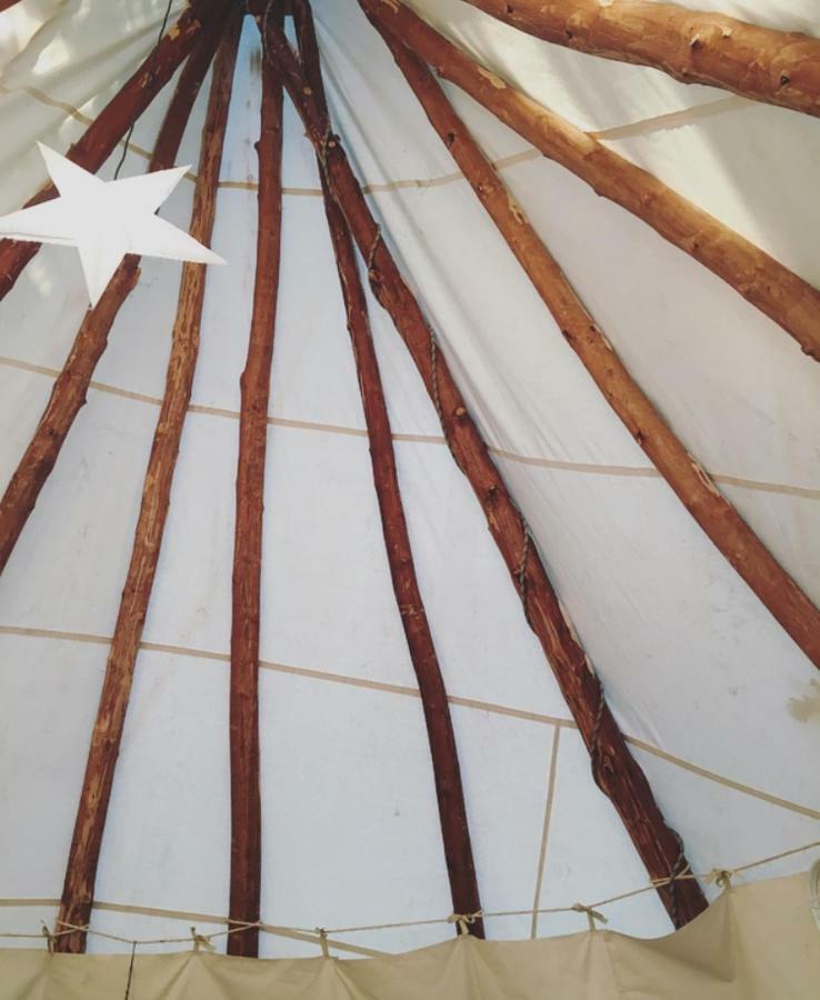 Tipi Lodge Dans La Foret Mimizan-Plage Kültér fotó